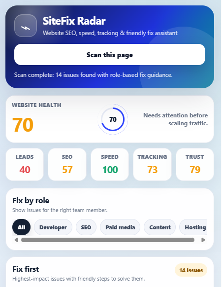 website audit browser extension
